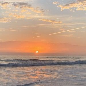 Meet your Posher, Sofia